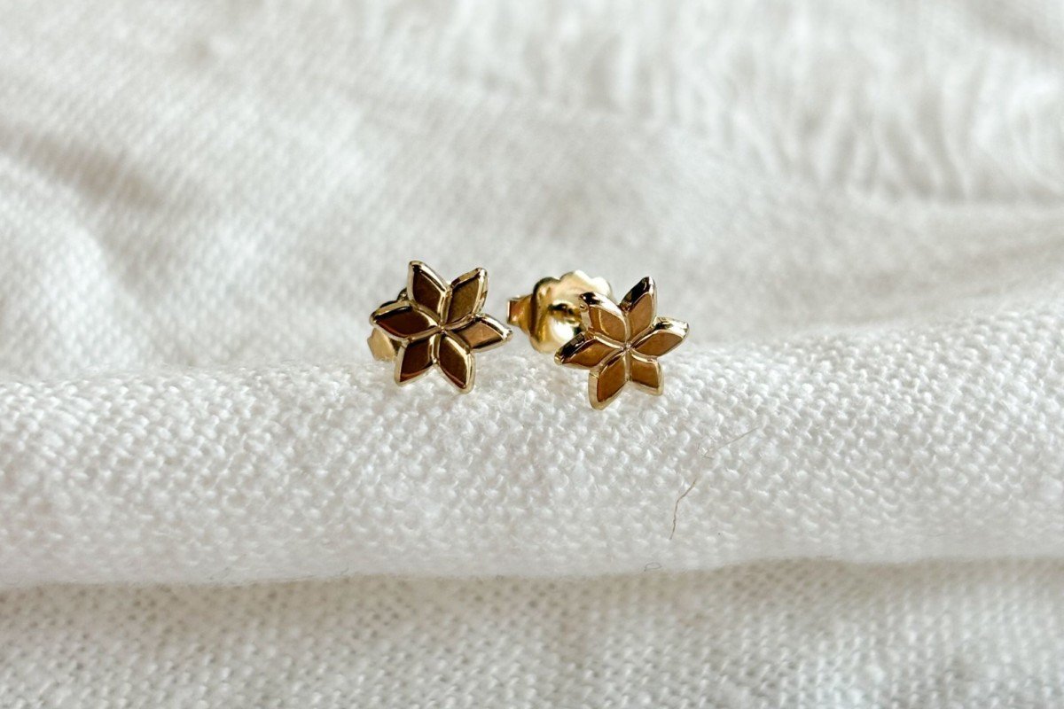 Boucle d'oreille Leonie 8mm polie