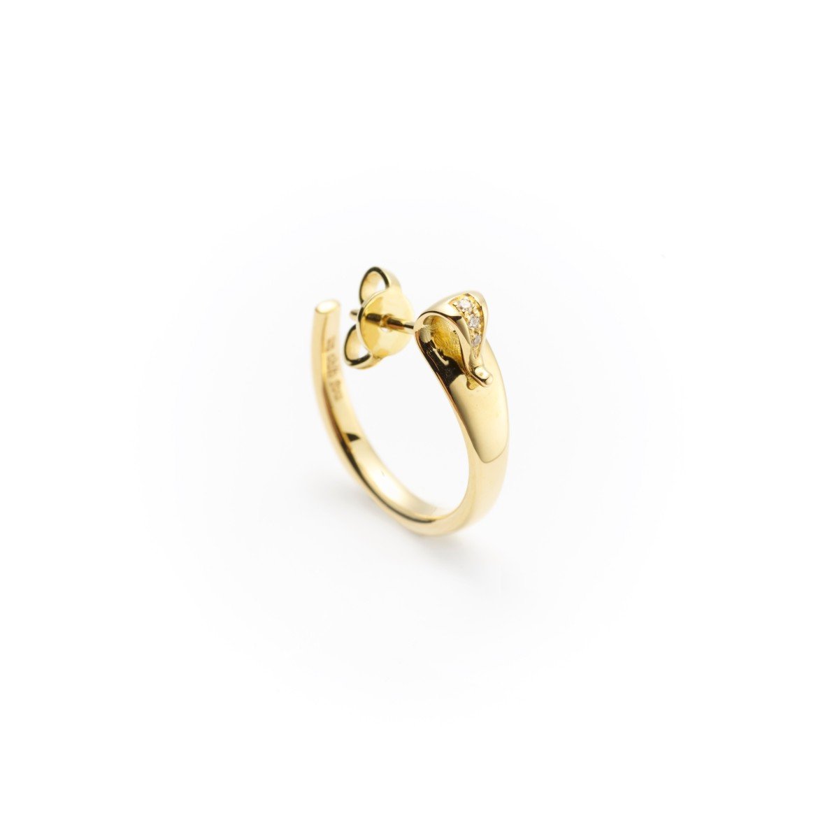 Accueil 17 ZOOM 2 GOLD COBRA BUCKLE