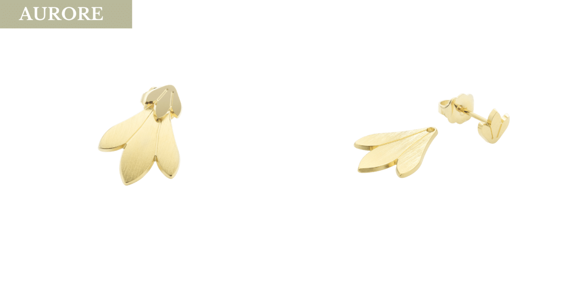 double brevo photos